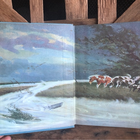 Stormy Misty Foal by Marguerite Henry 1963 missing Dust Jacket(24) - Picture 3 of 8
